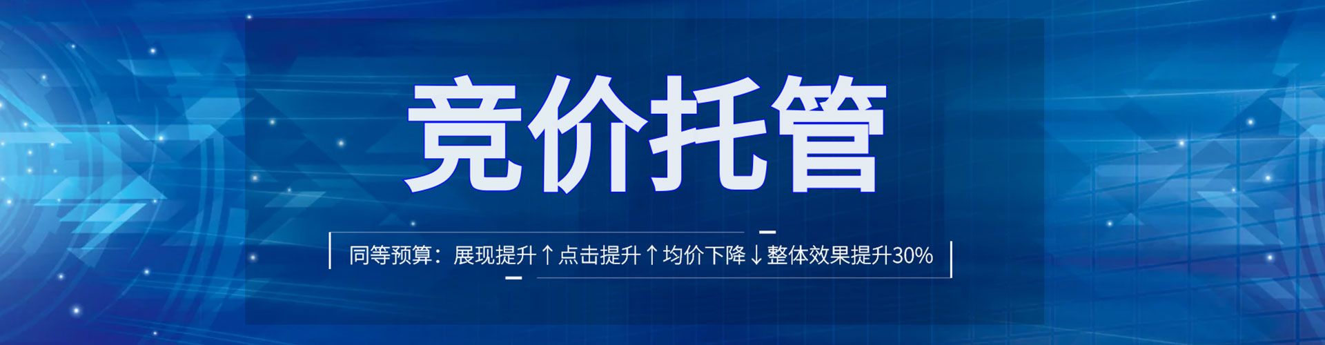 隆子sem外包